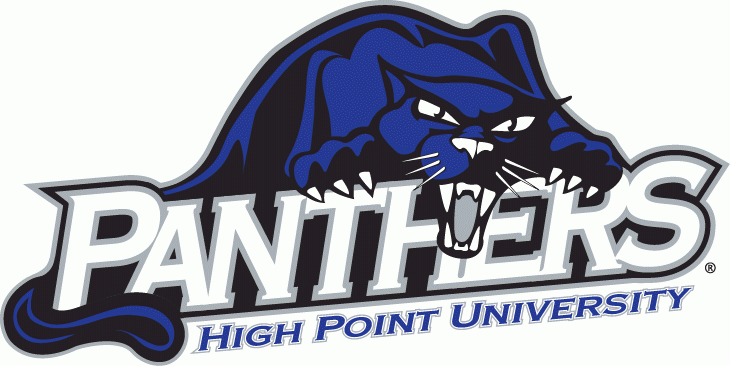 High Point Panthers 2004-2011 Primary Logo diy fabric transfer
